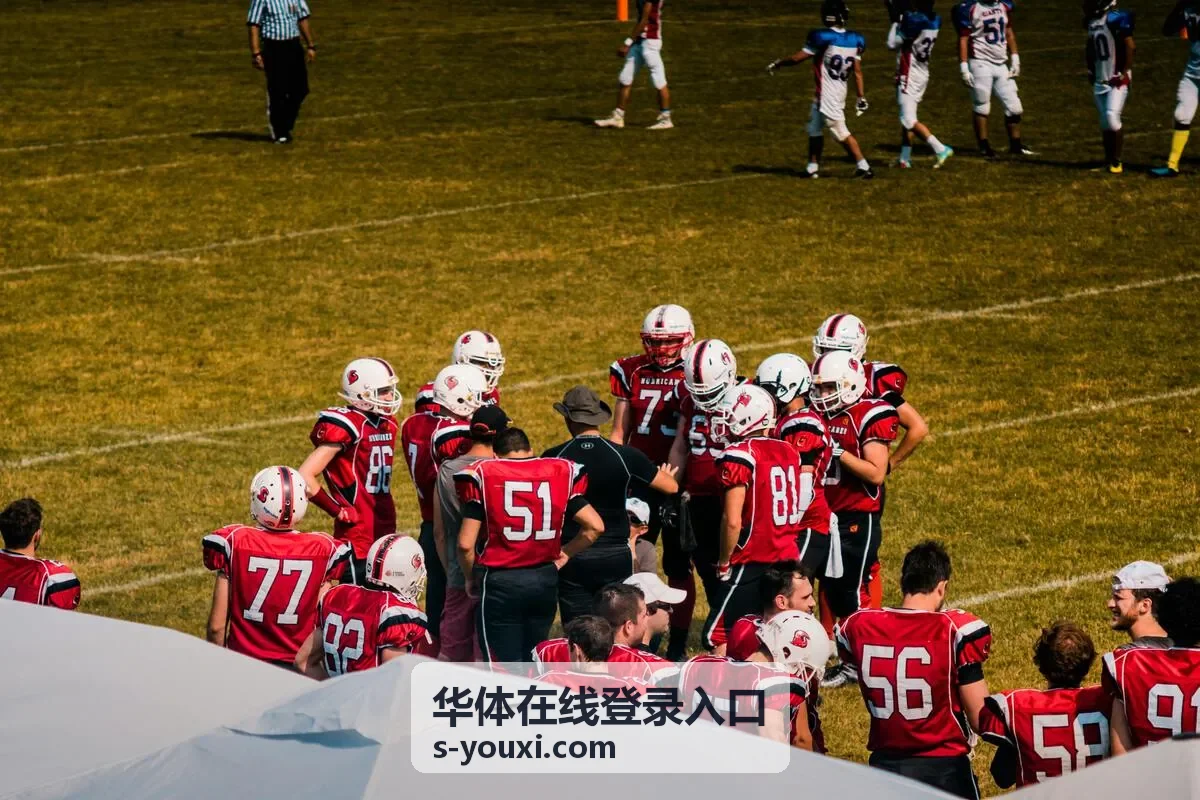 华体在线登录入口任务进度页面示意
