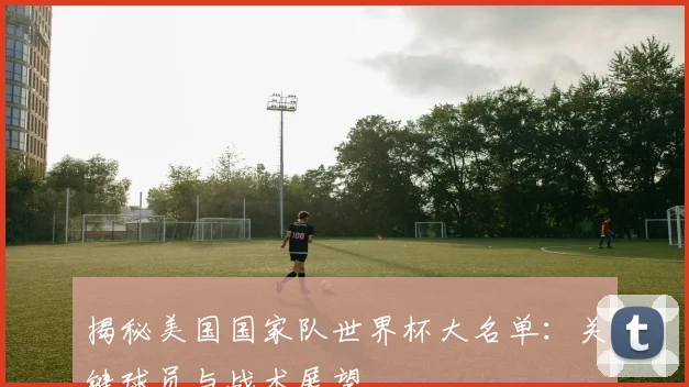 揭秘美国国家队世界杯大名单:关键球员与战术展望