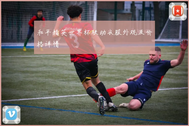 和平精英世界杯联动衣服外观及价格详情