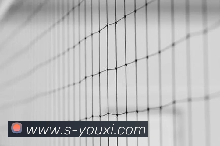 乐竞官网品牌故事