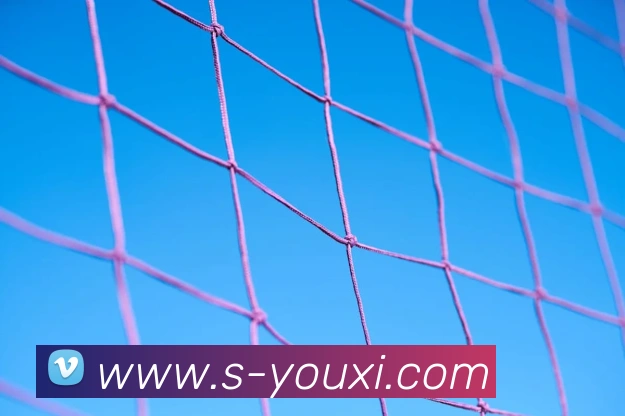 乐竞官网服务体系